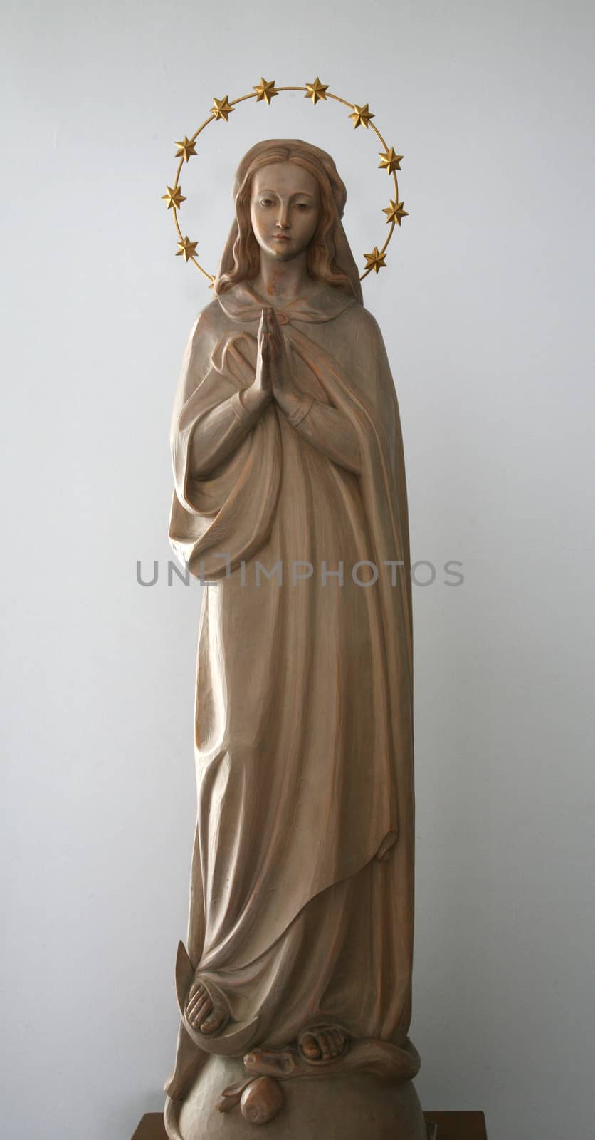 Virgin Mary