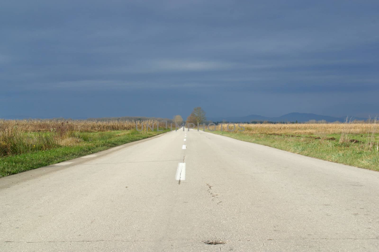 Empty road in autumn day between meadows and fields