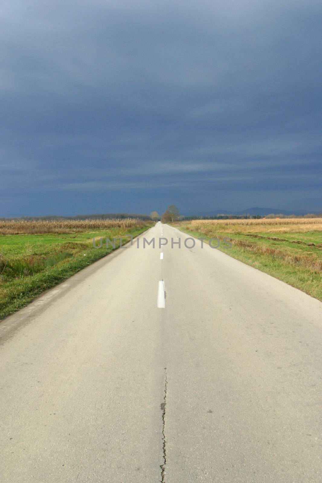 Empty road in autumn day between meadows and fields