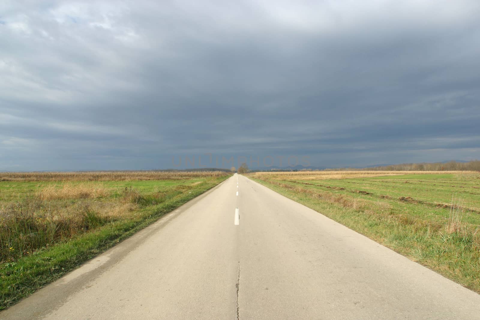 Empty road in autumn day between meadows and fields
