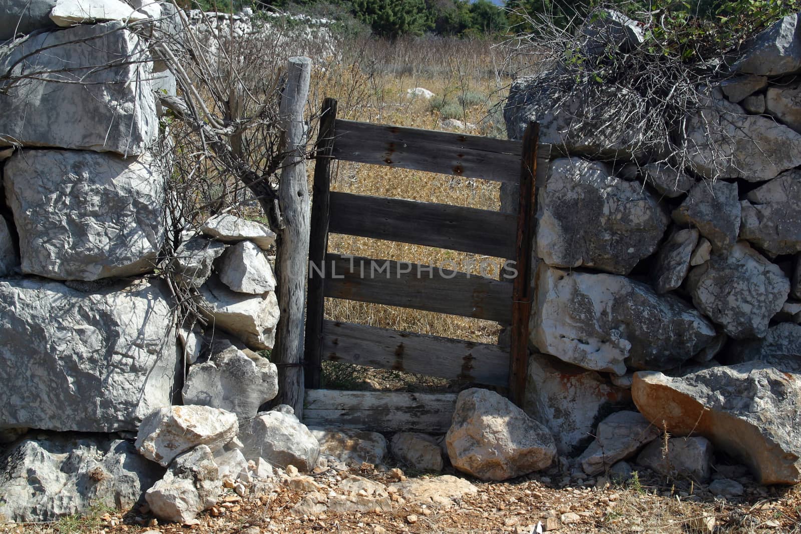 Wooden door. vintage gate - entrance of garden