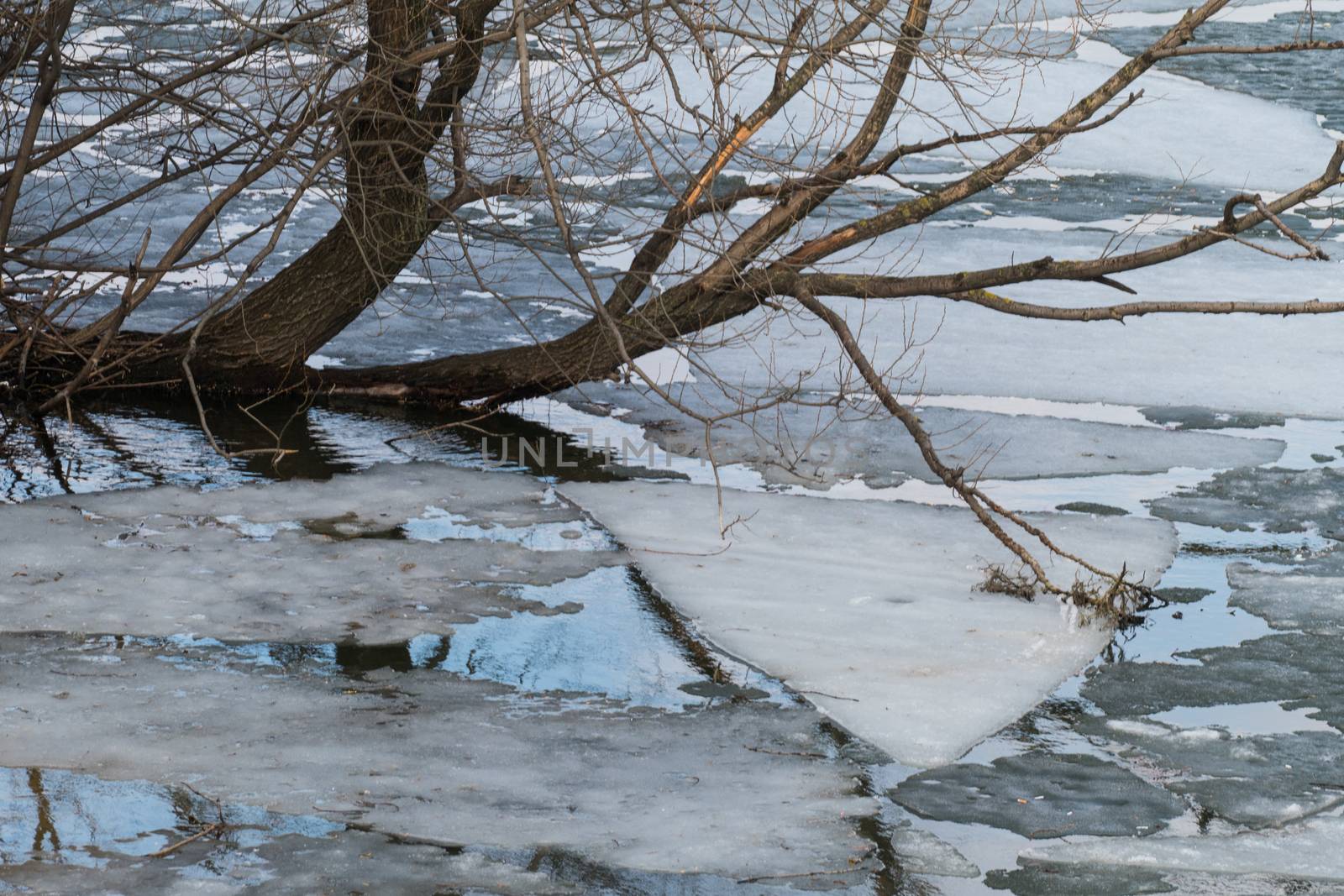 Melting ice on spring lake 3.4.16