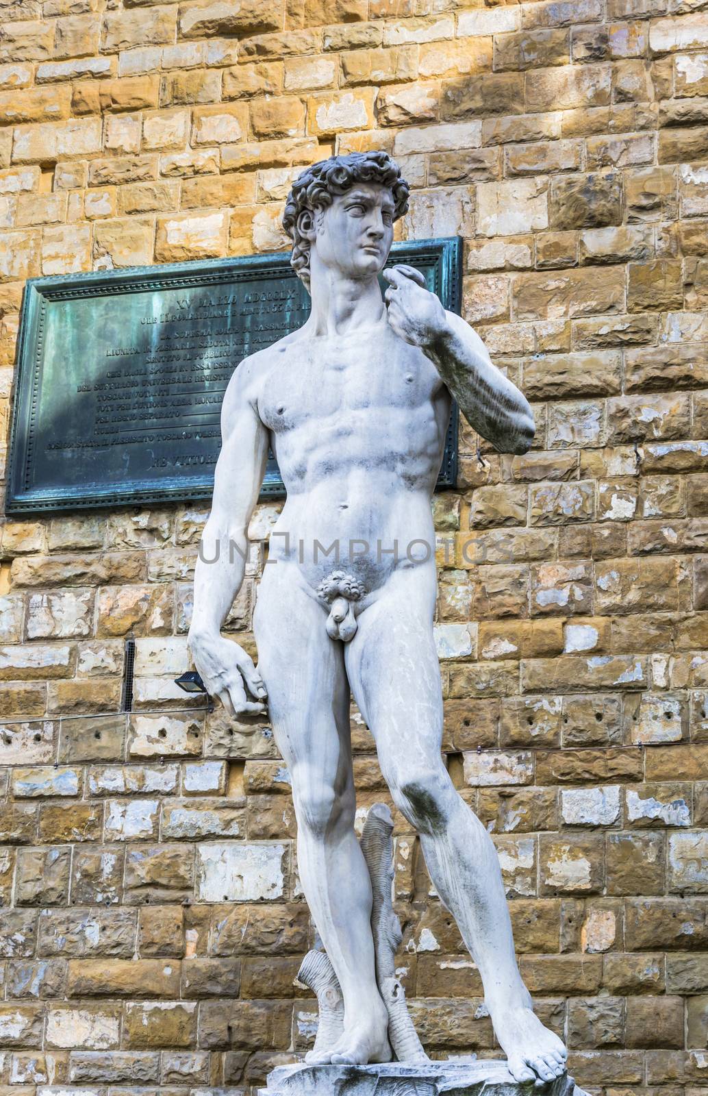 David in Florence by rarrarorro