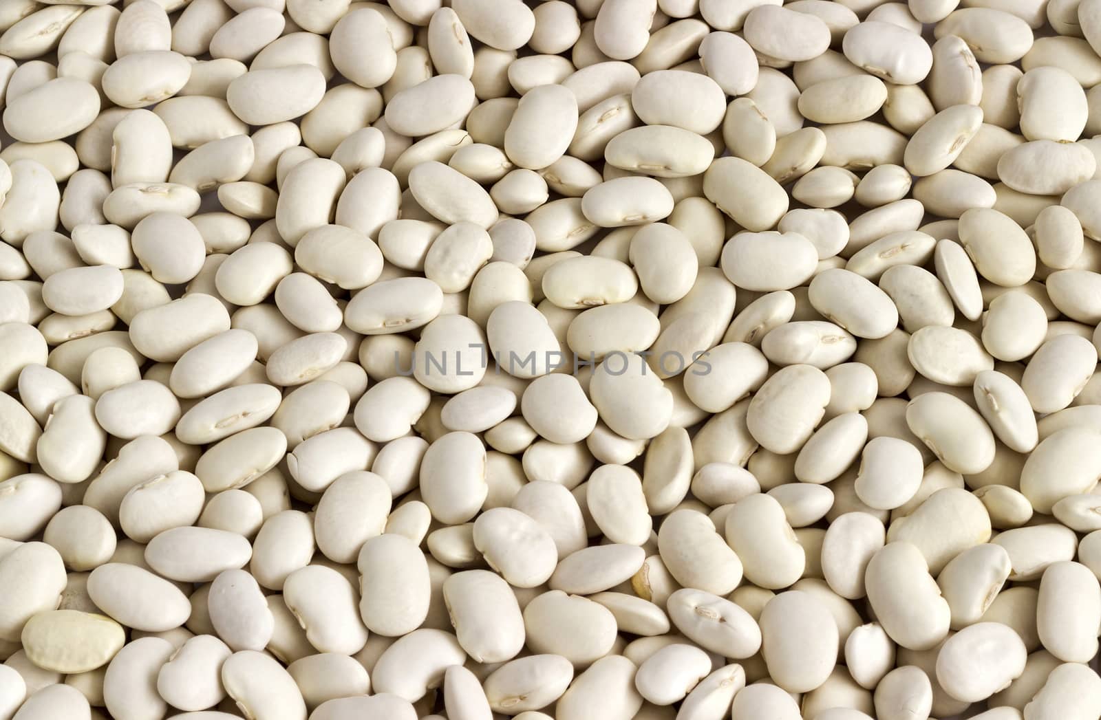 White beans background