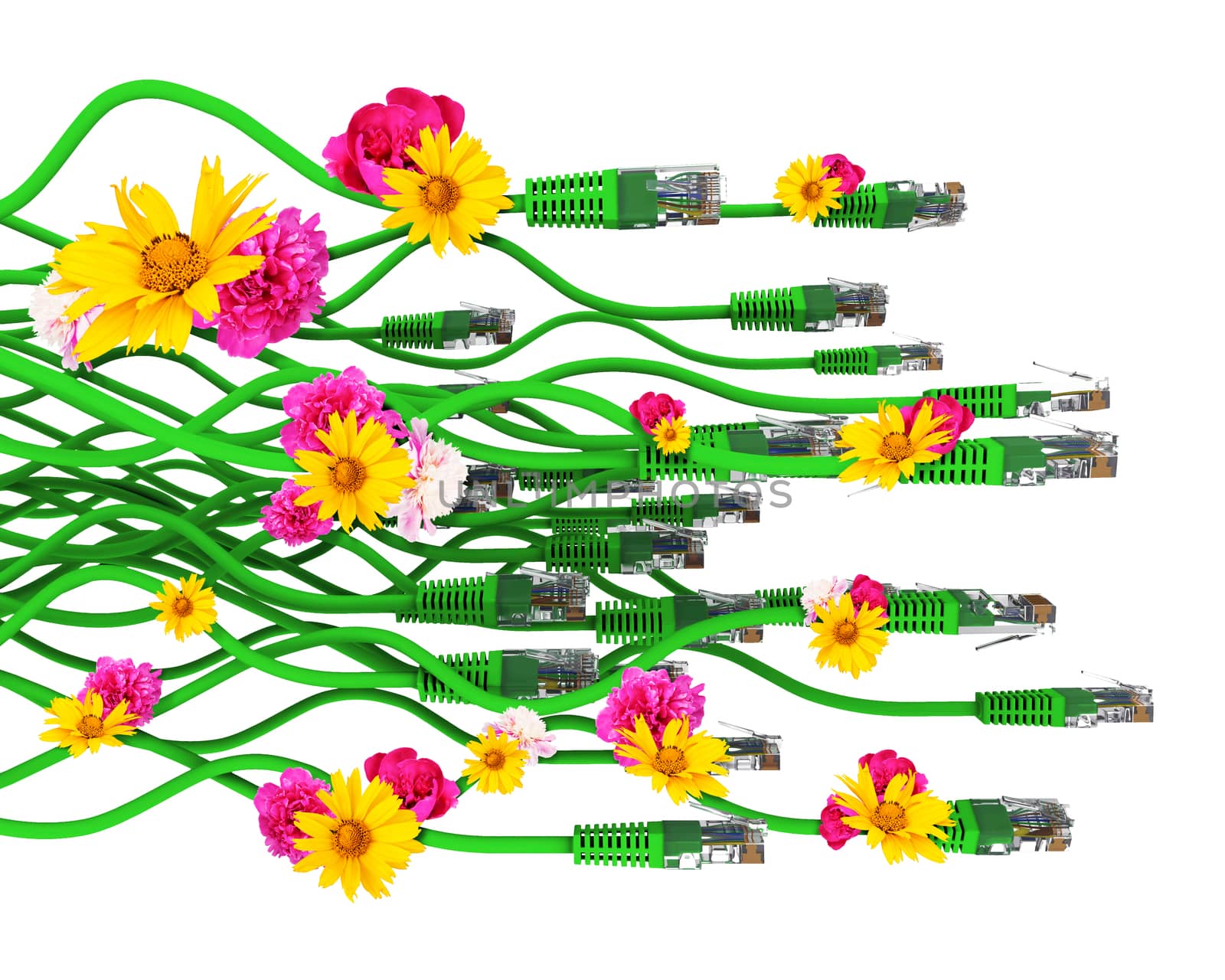 Computer cables with flowers isolated on white background. 3D illustration