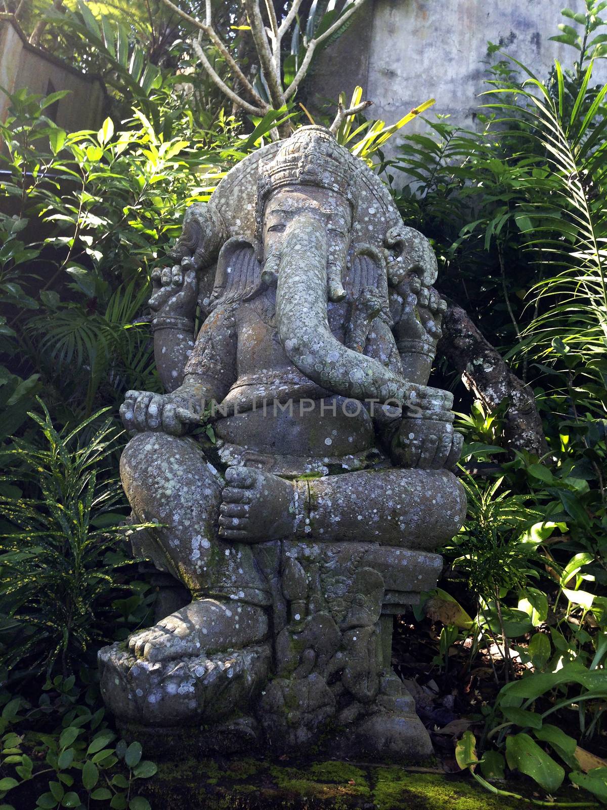 I discovered this statue when i was hiking trough a larger part of a rainforest at Bali. It was placed at a opening within trees, but hidden for the casual hiker. Stumbled upon this as i was looking for motives.
The doorkeeper, Ganesh. He is the Lord of success and destroyer of evils and obstacles. He is also worshipped as the god of education, knowledge, wisdom and wealth.