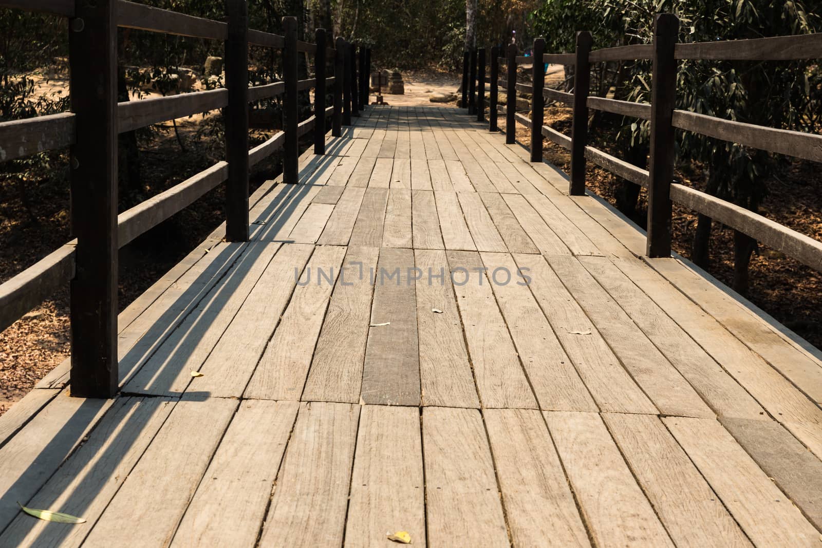 old wooden bridge in  deep forest, natural vintage background