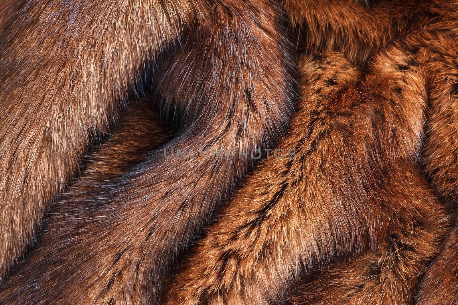 natural fur closeup by fogen
