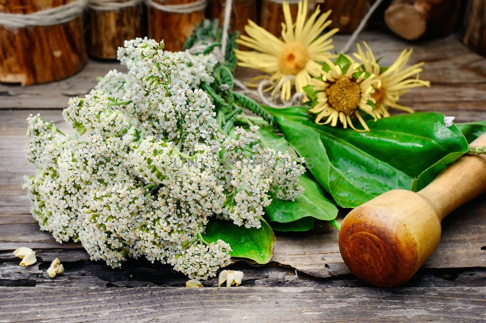 Bundle of healing herbs on the background of the mortar 