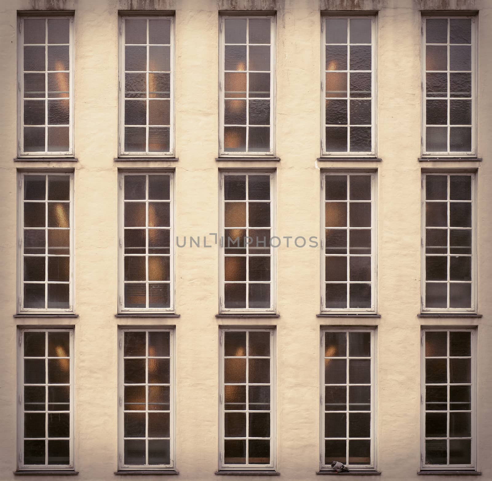 building with lots of windows, pigeon sitting on the windowsill, grunge wall background