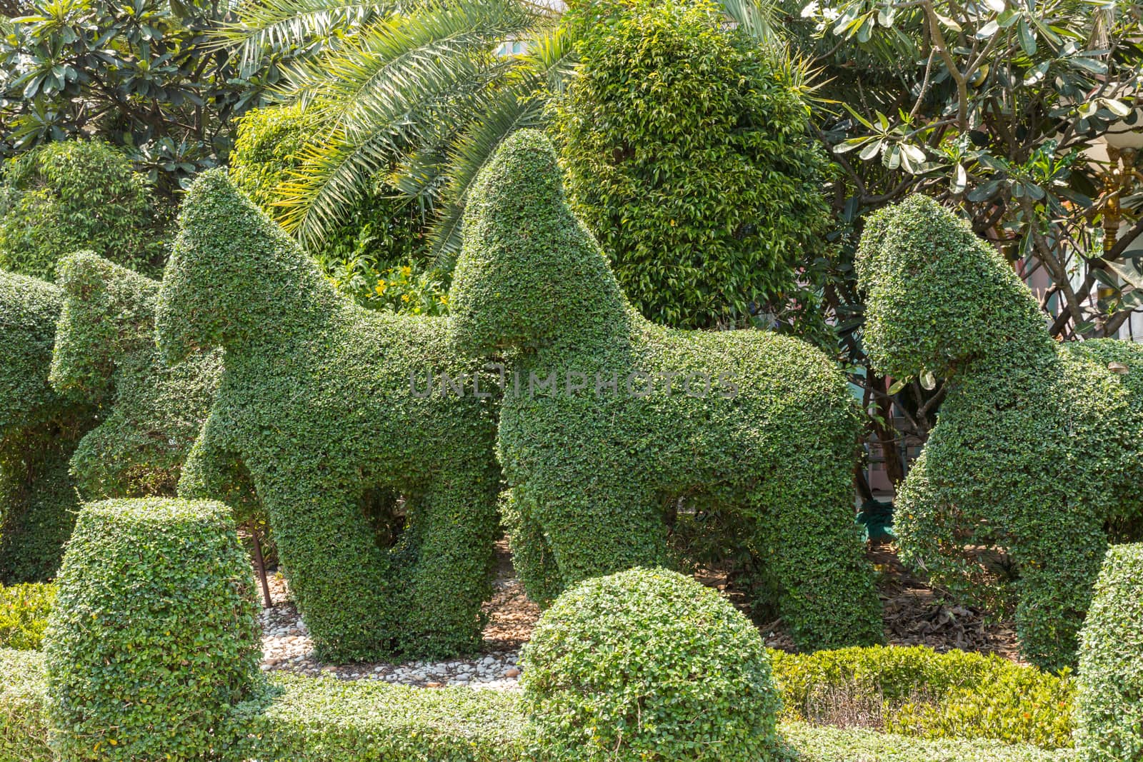 animals carved out of green bushes in the garden