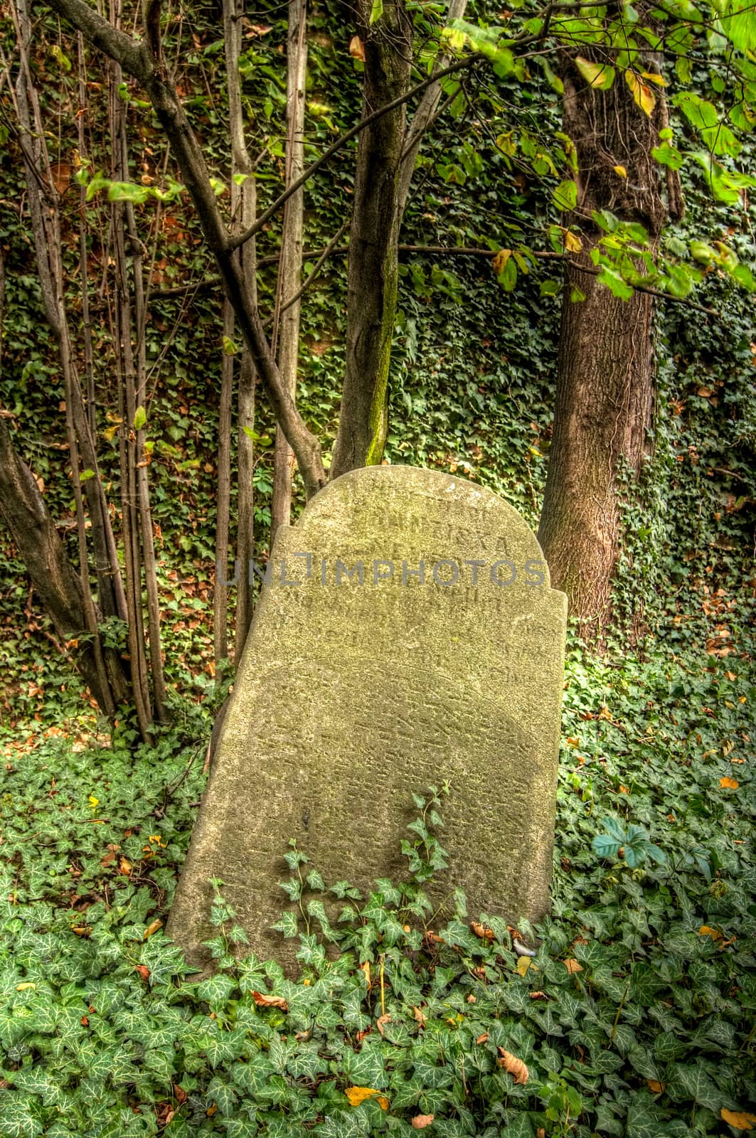 The Old Jewish cemetery at Kolin - one of the oldest landmarks of that kind in Bohemia. The beginning of the cemetery dates back to the 15th century. The oldest tombstones  are from 1492. There are over 2600 tombstones on the cemetery. For example: tombstone of Becalel, son of Jehuda Low.
Kolín, Czech republic, Europe.