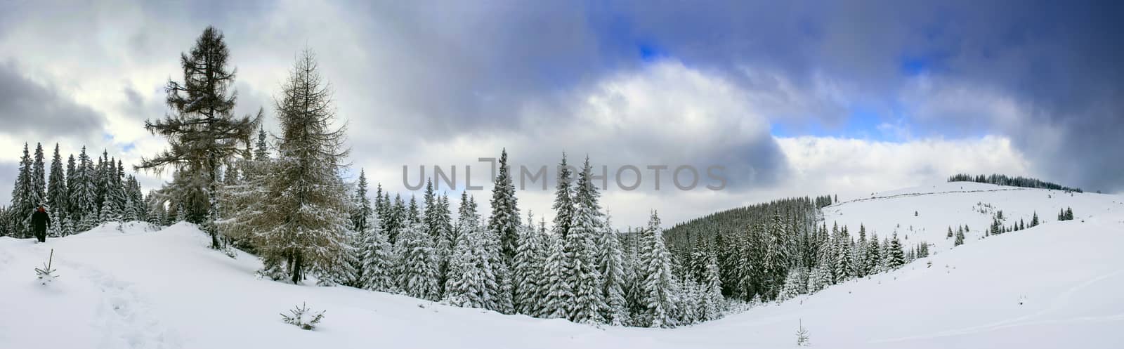 Sunrise in winter mountains . Sunrise in Carpathian Mountains, Ukraine