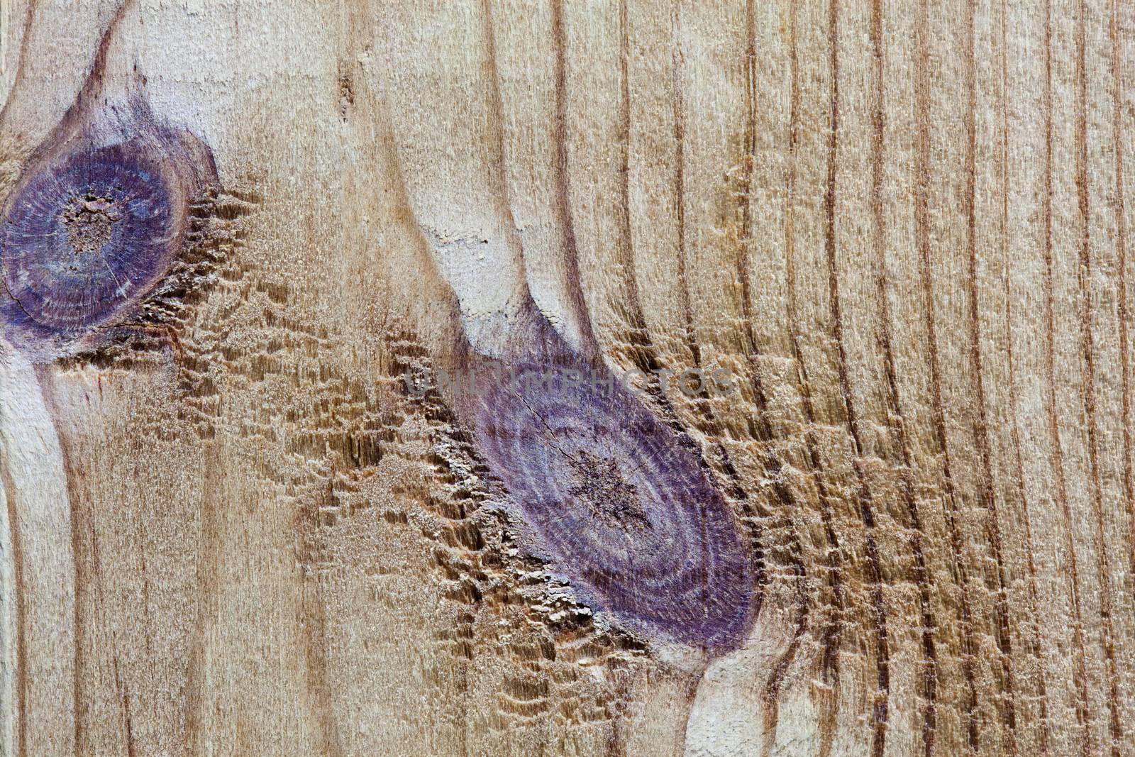 Wooden texture and knot, old wood background