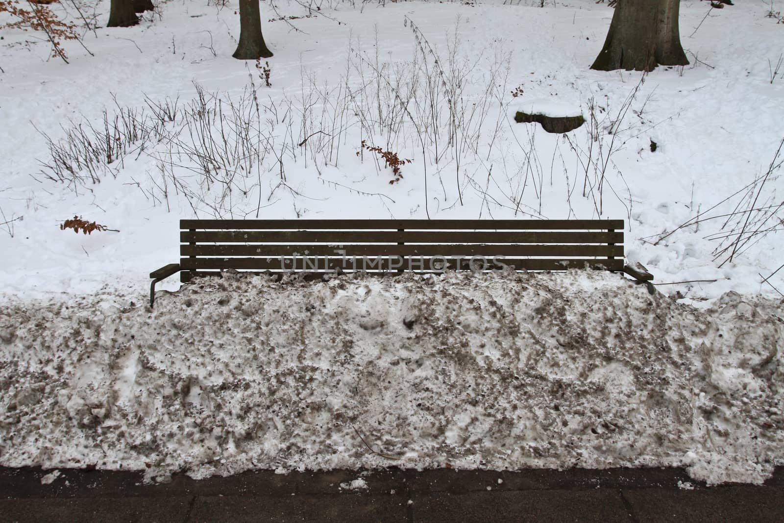 bench under the snow in denmark