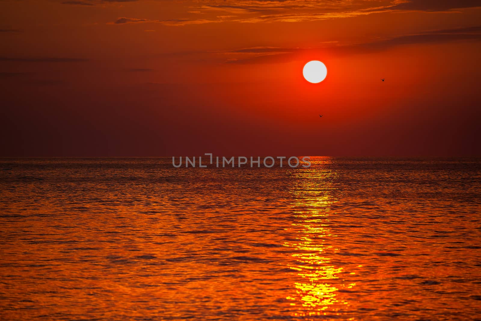 red sunset over water by fogen