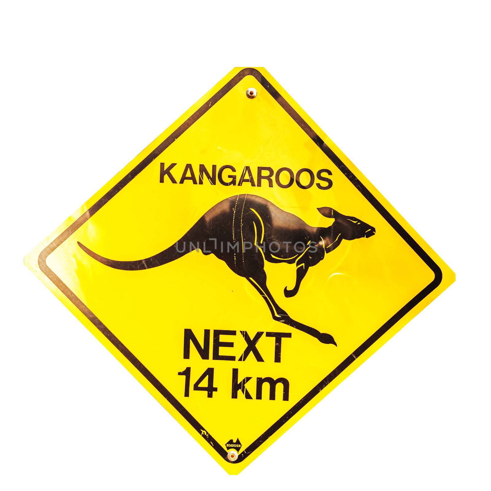Kangaroos sign with clipping path .