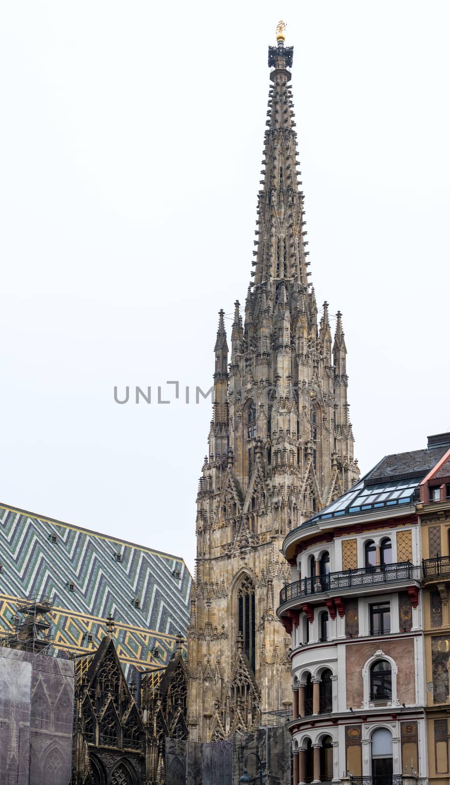 St.Stephan Cathedral, Vienna, Austria by DNKSTUDIO