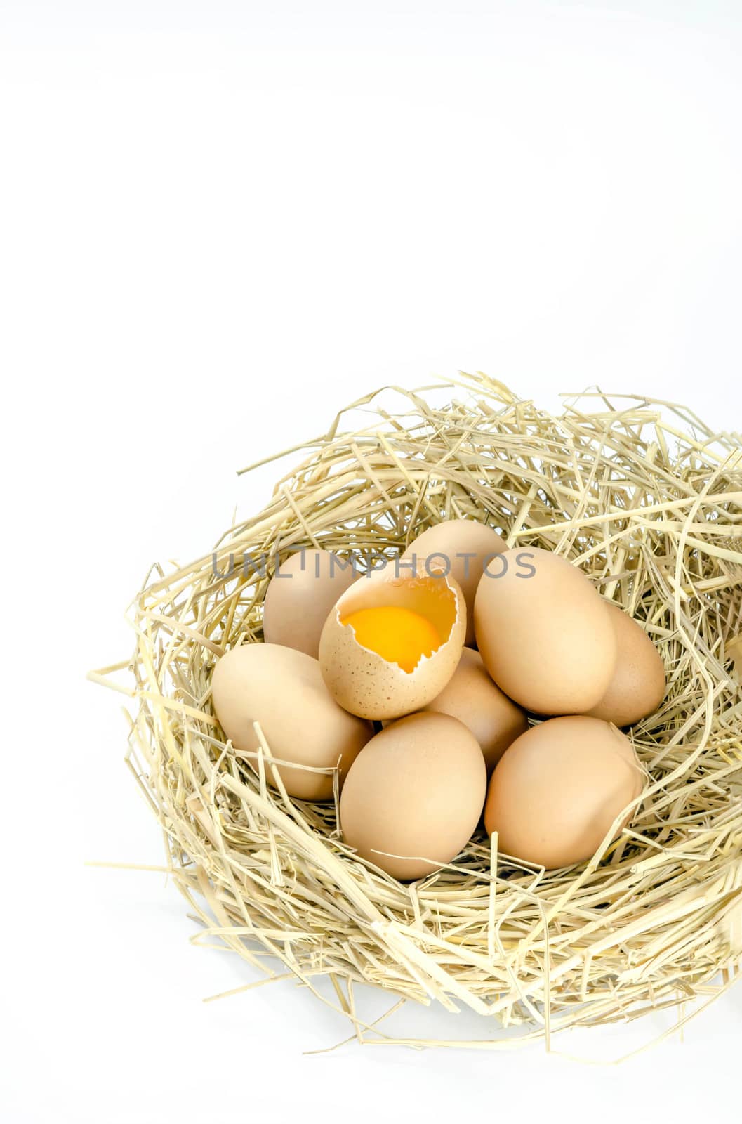 Brown eggs in a nest  on a white background
