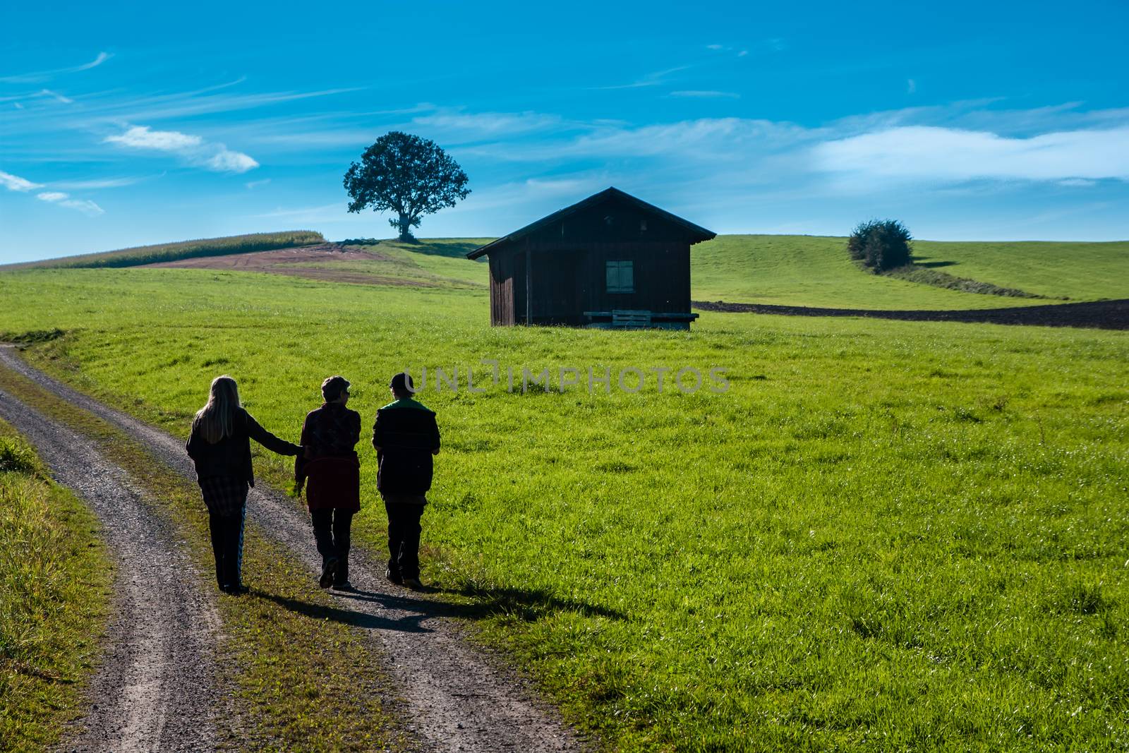 Three people walking on a dirt road next to a green meadow with a hut with blue sky and some clouds.