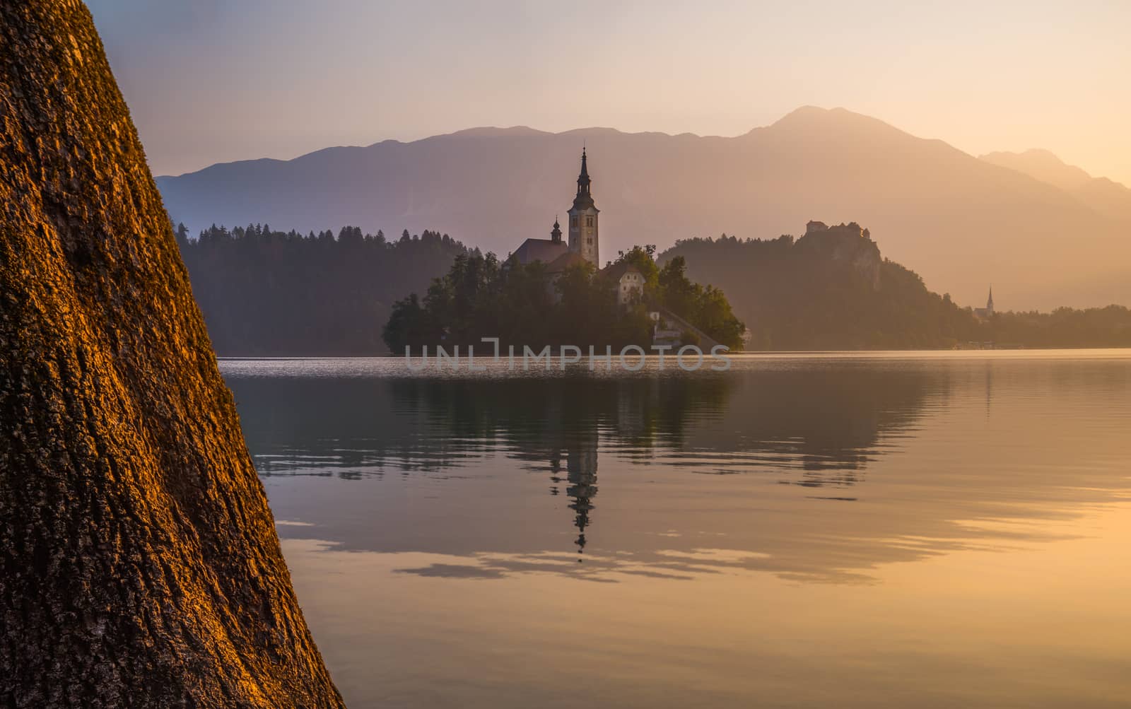 Little Island with Catholic Church in Bled Lake, Slovenia  at Sunrise with Castle and Mountains in Background and Bole in Foreground