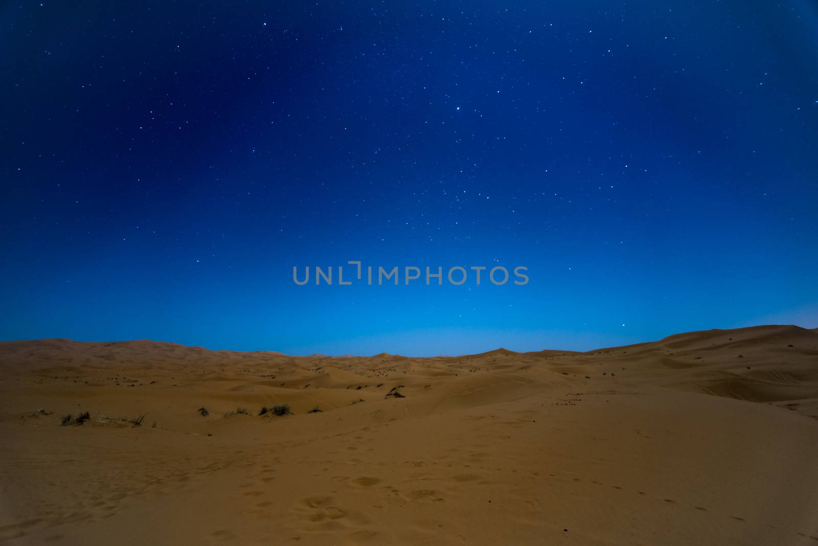 Stars at night over the dunes, Morocco by johnnychaos