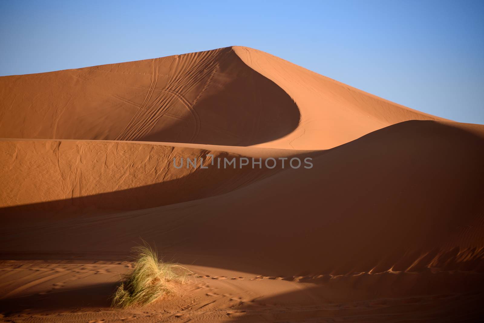 Dunes, Morocco, Sahara Desert by johnnychaos