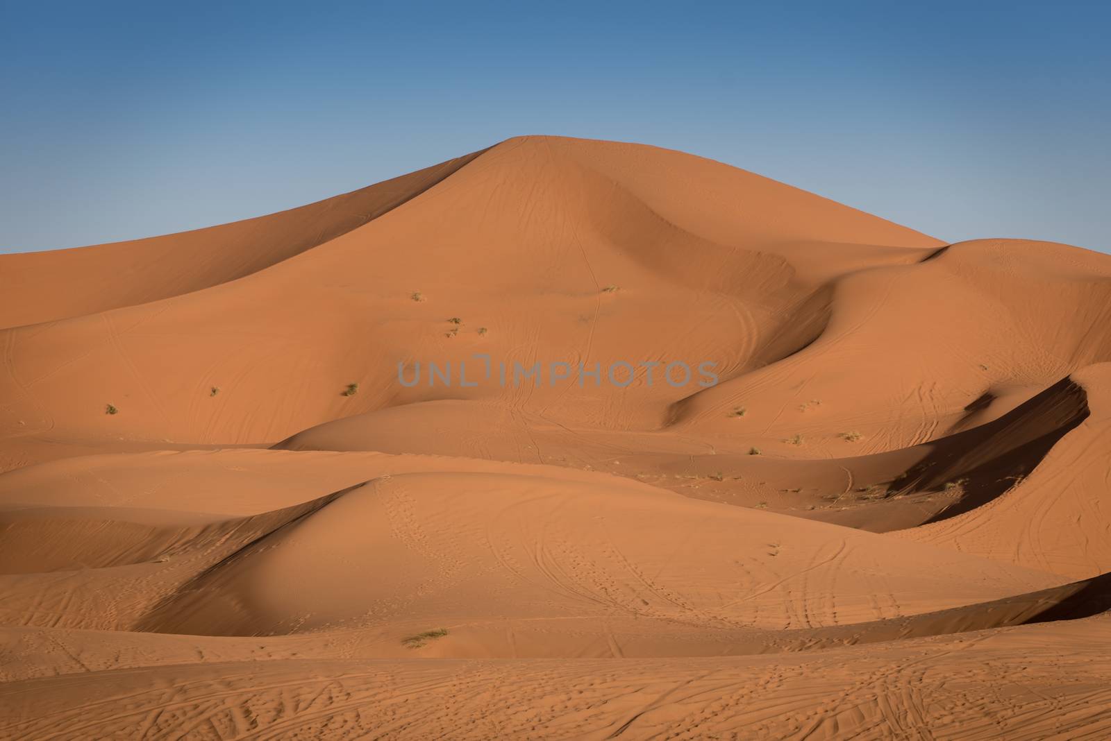 Sand dunes in the Sahara Desert, Erg Chebbi, Merzouga, Morocco