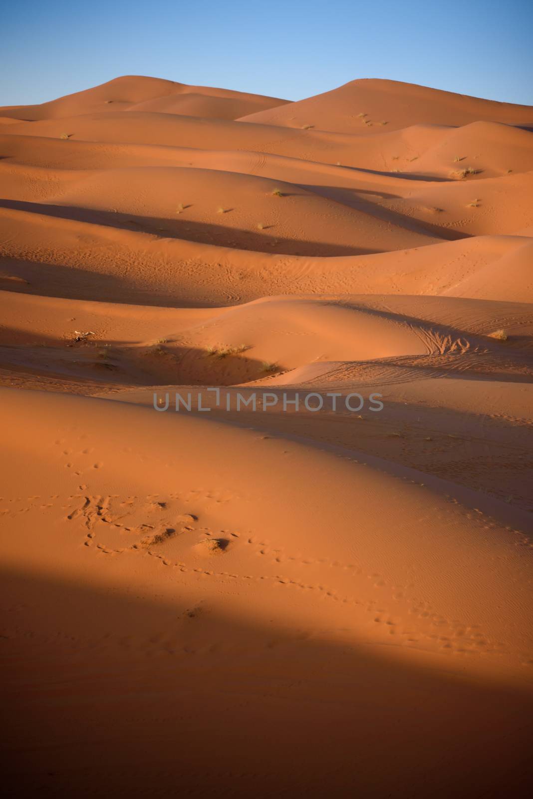 Dunes, Morocco, Sahara Desert by johnnychaos