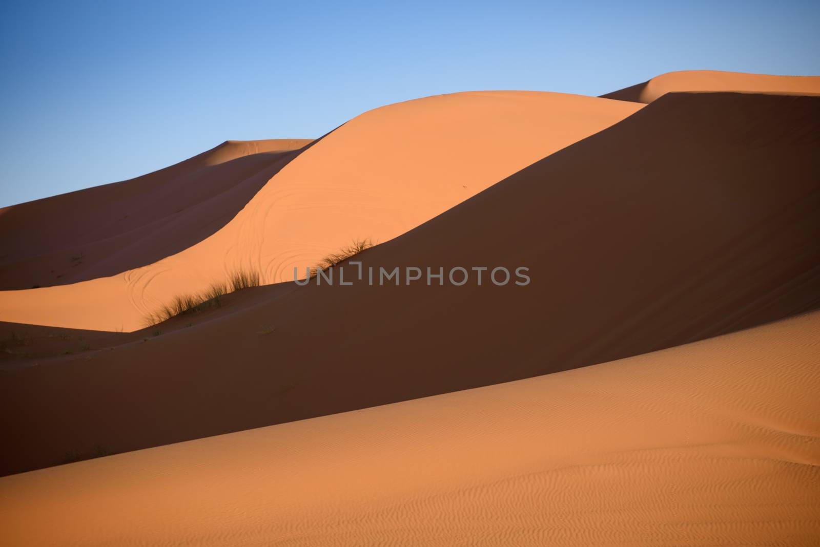 Dunes, Morocco, Sahara Desert by johnnychaos