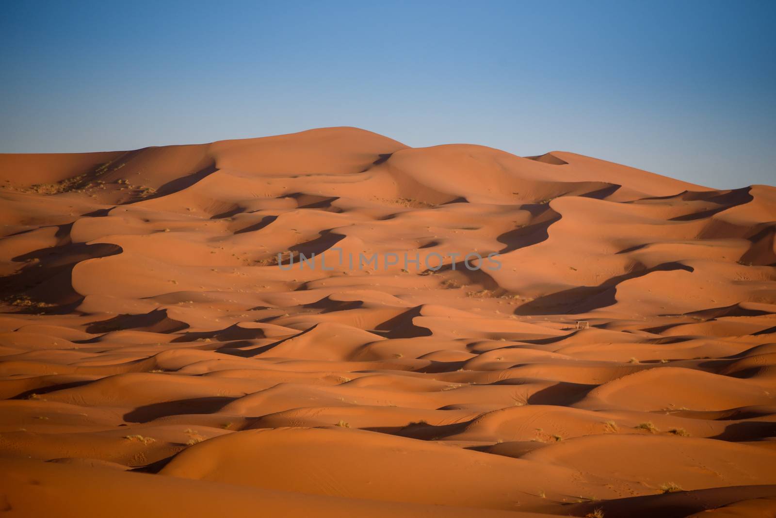 Dunes, Morocco, Sahara Desert by johnnychaos