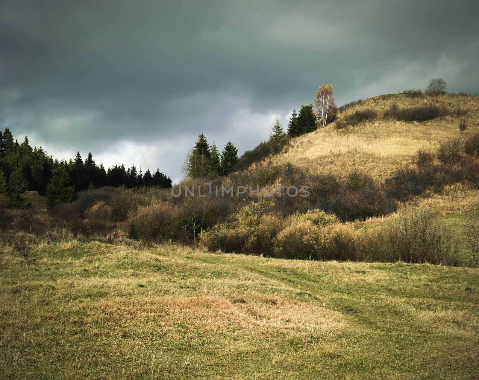 grim autumn landscape with overcast skies for rain