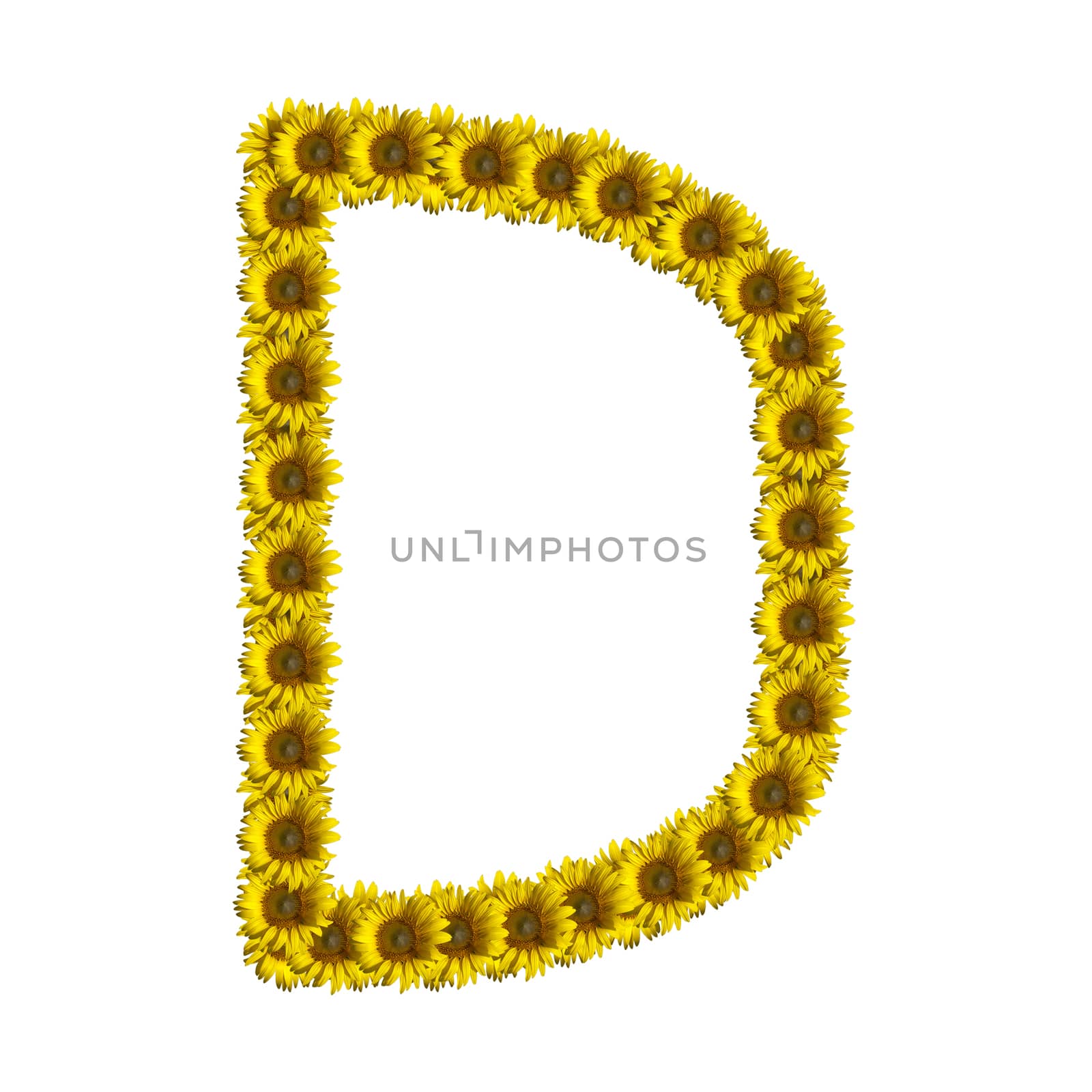 Isolated sunflower alphabet D by Exsodus