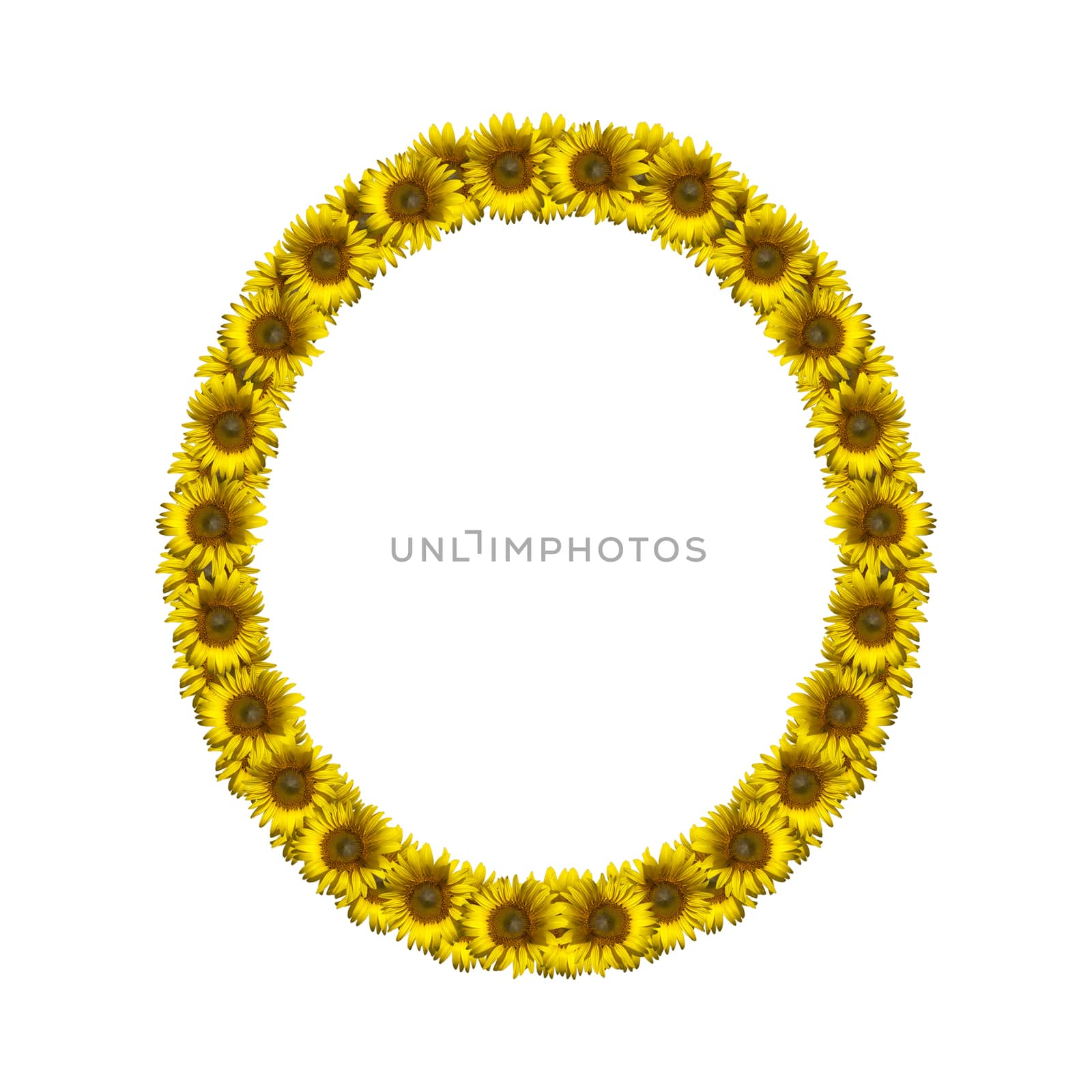 Isolated sunflower alphabet O by Exsodus