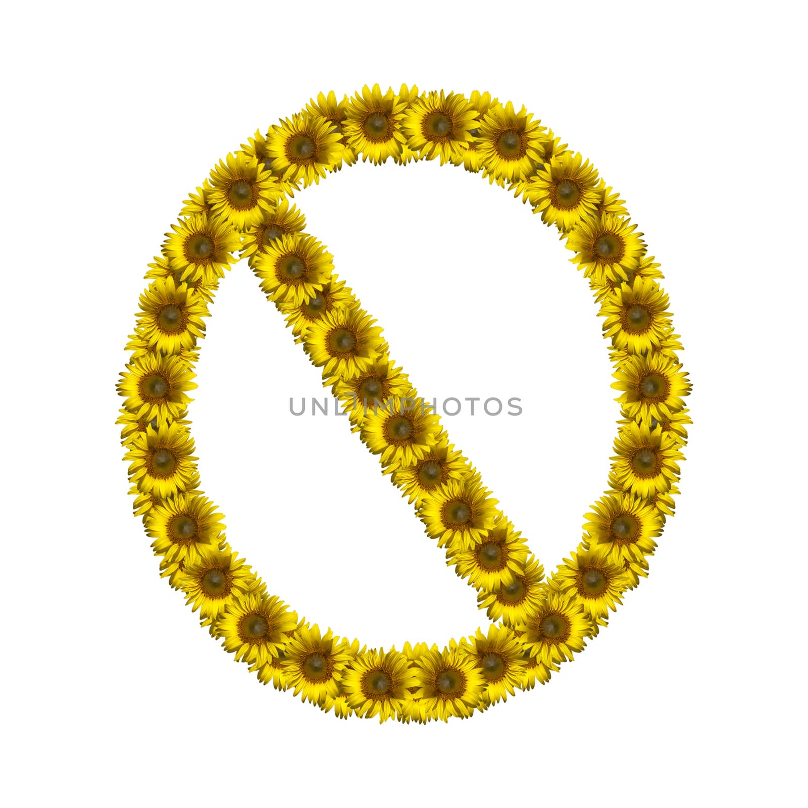 Sunflower number isolated on white background, number 0