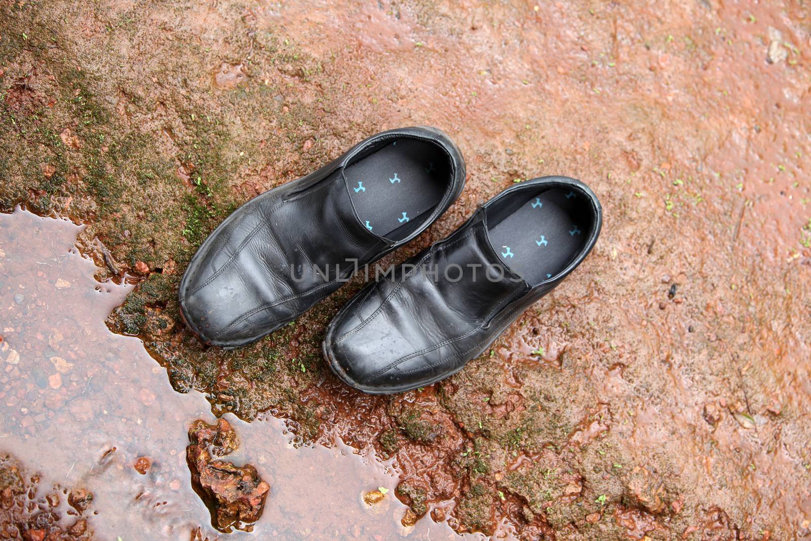 Black leather shoes abandoned on a rock in a camping trial
