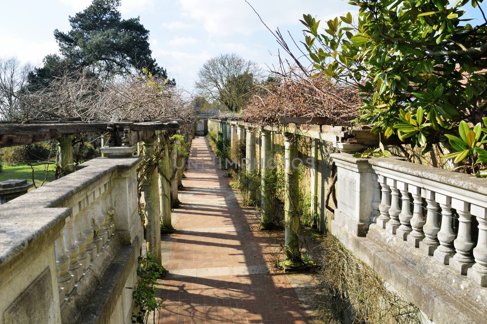 Garden path edged with concrete by pauws99