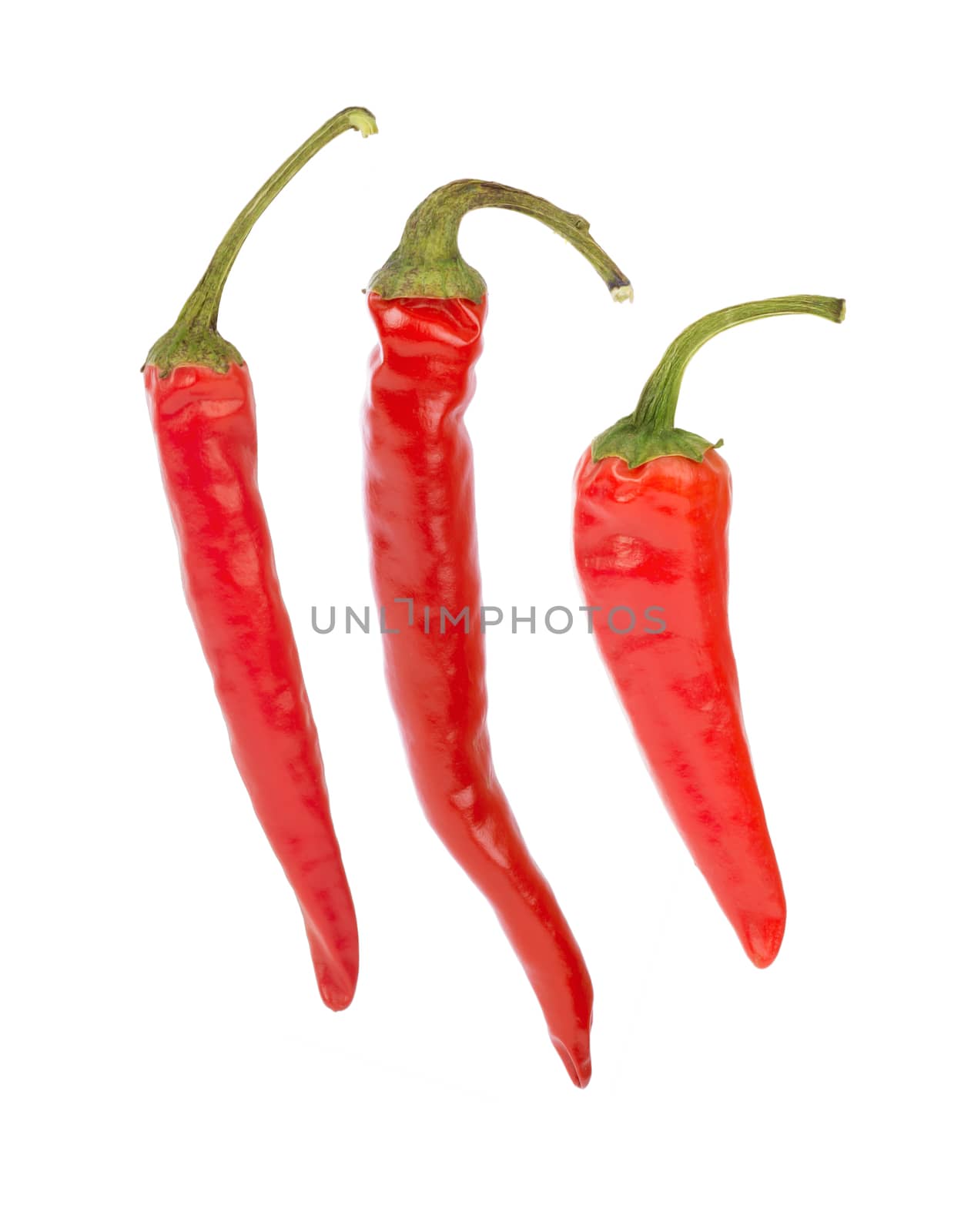 Red hot pepper single on isolated white background