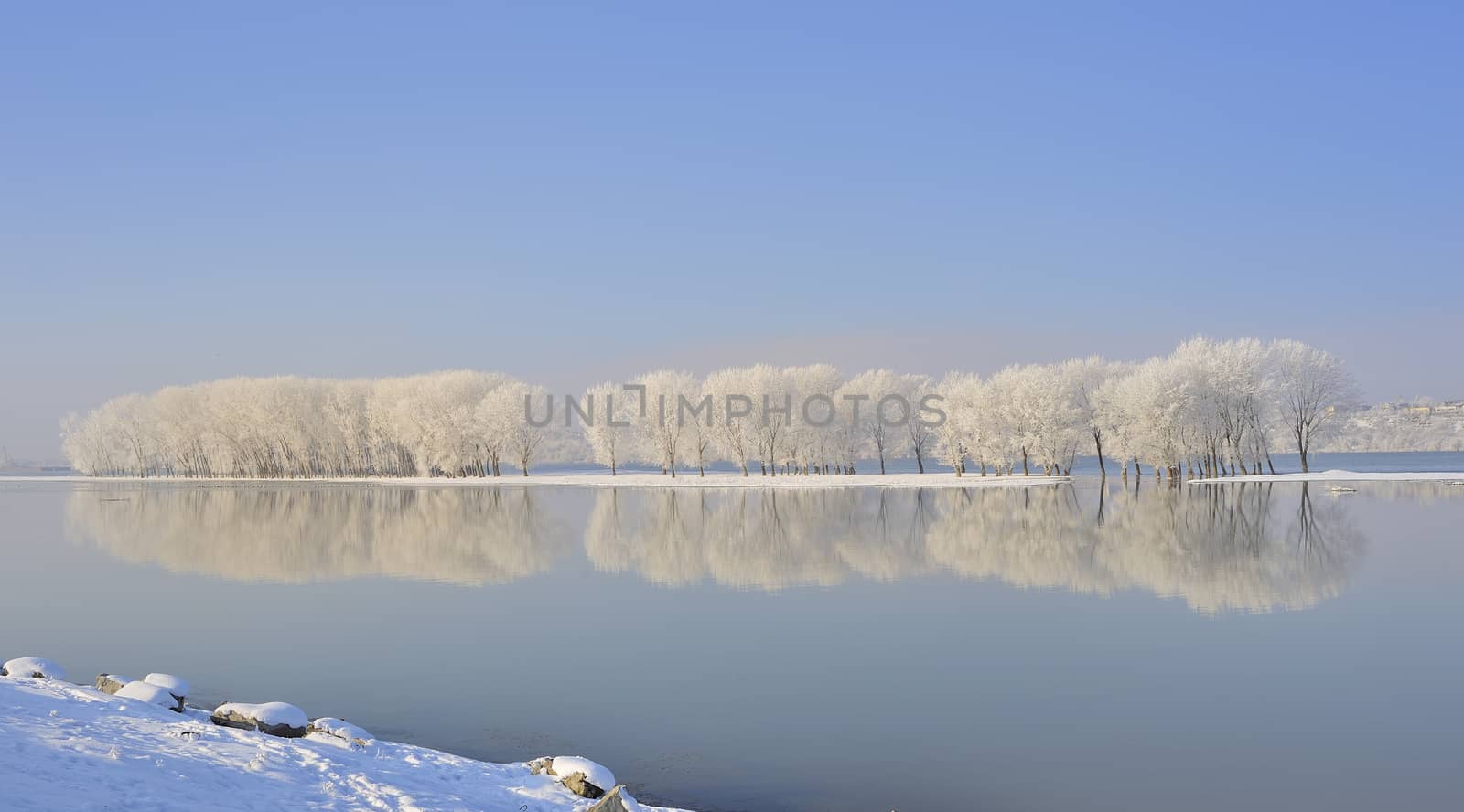 Winter trees covered with frost on Danube river
