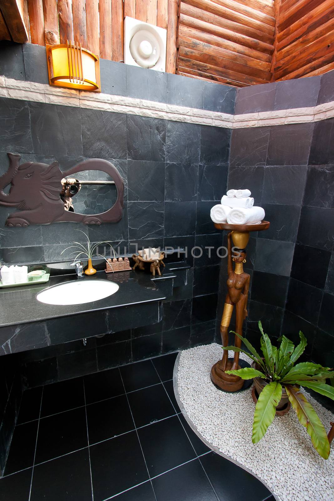 Modern Bathroom interior with stone wall