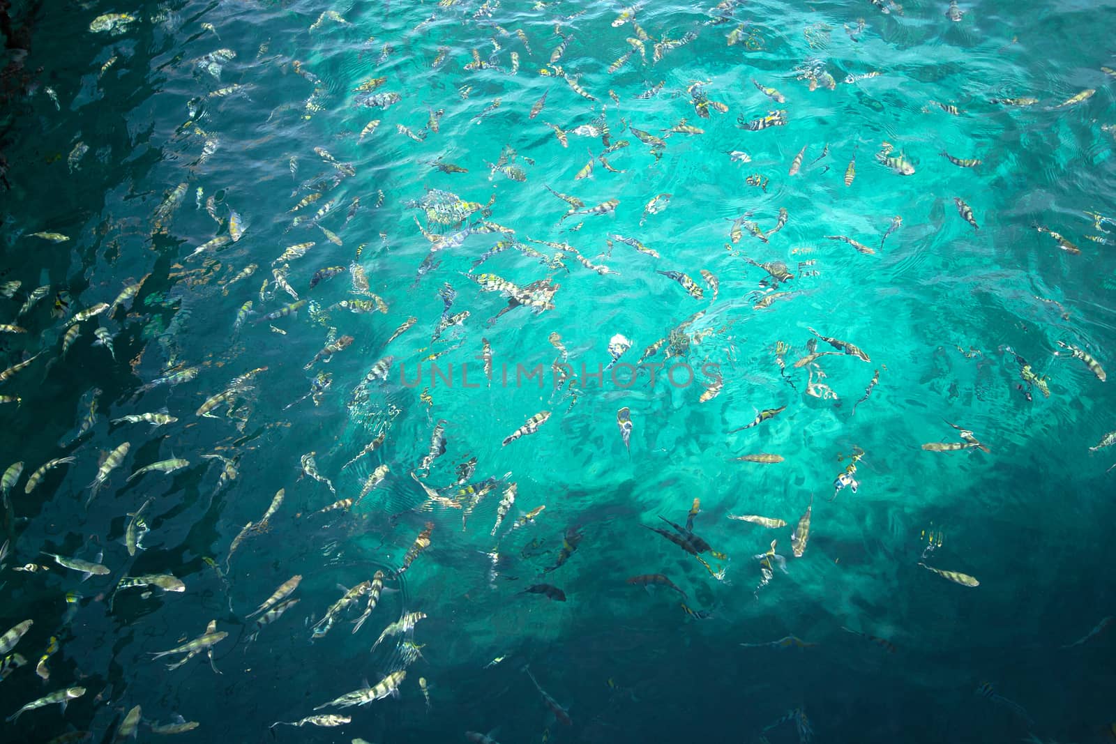 Sea at Nang Yuan island, Koh Tao, Thailand.