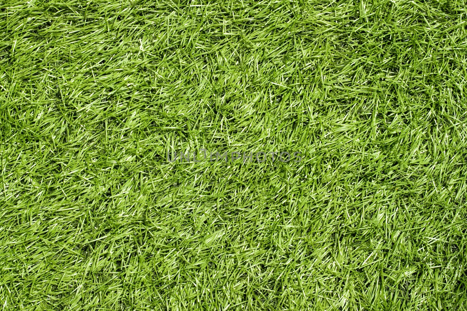 Green grass seamless texture