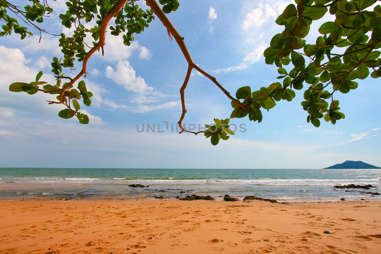 tree leaves over luxury beach