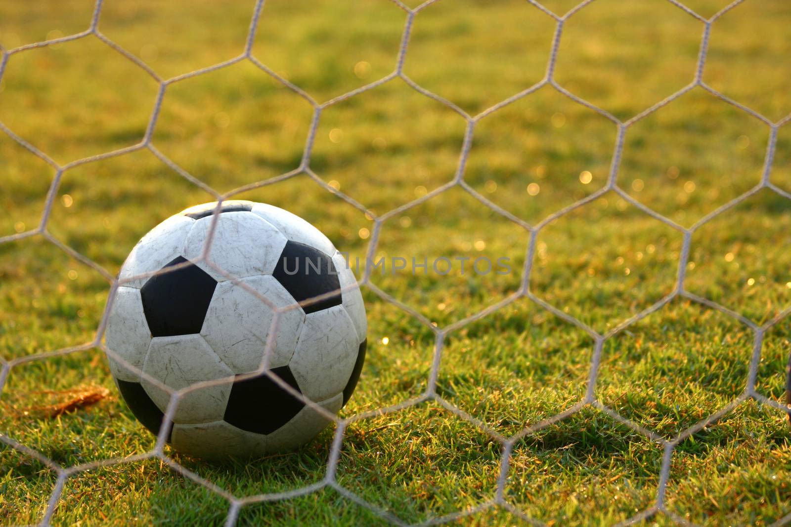 Soccer football in Goal net with green grass field