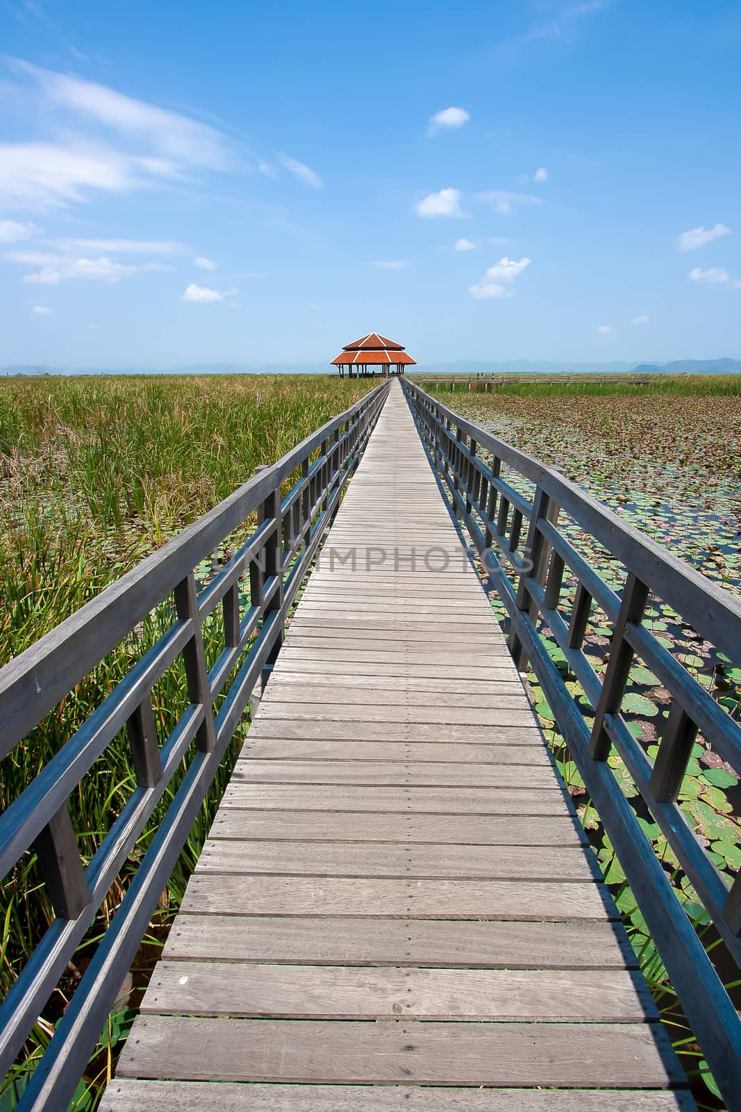 Wooden bridge over lake Sam Roi Yod National Park, Prachuap Khiri Khan, Thailand