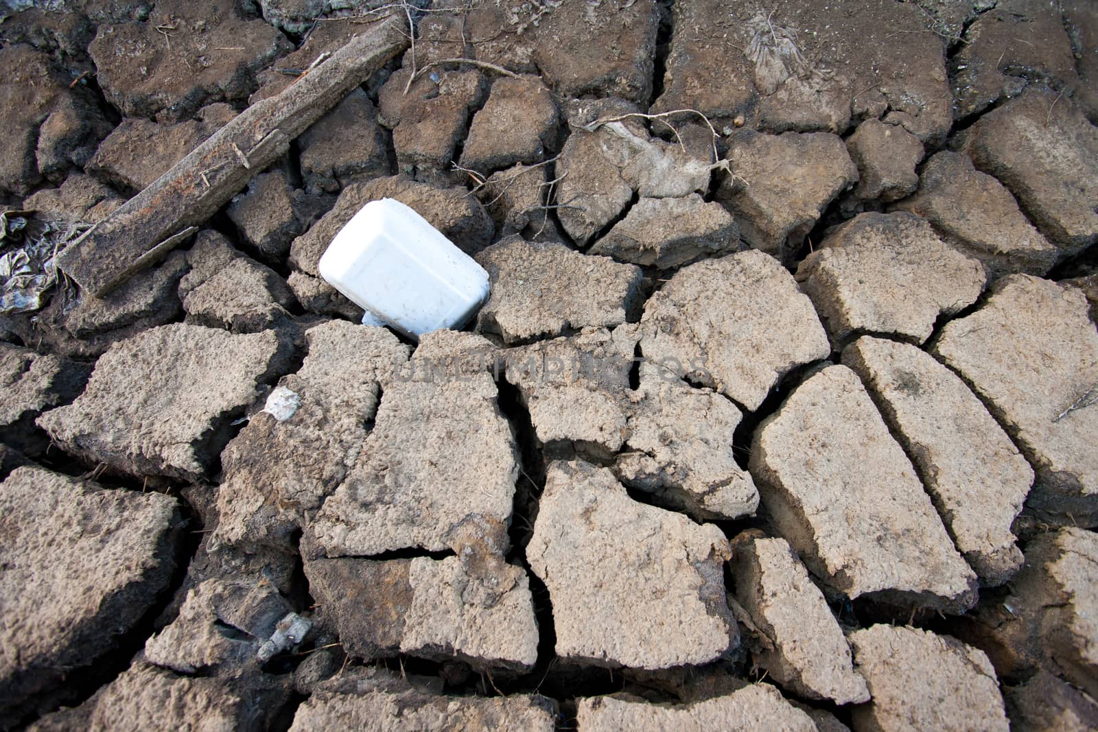 Styrofoam waste Pollution