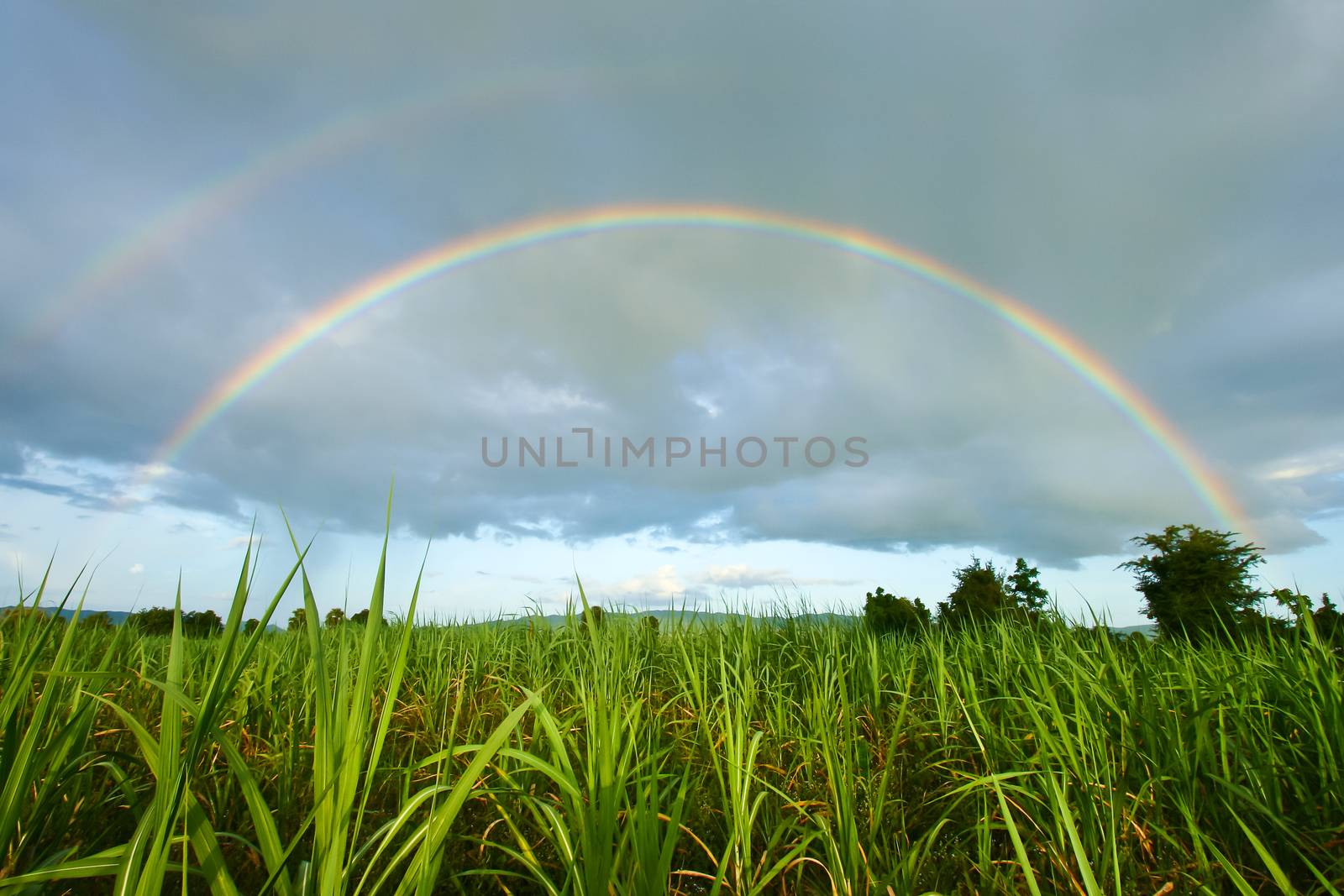 The perfect double rainbow over a beautiful meadow in spring