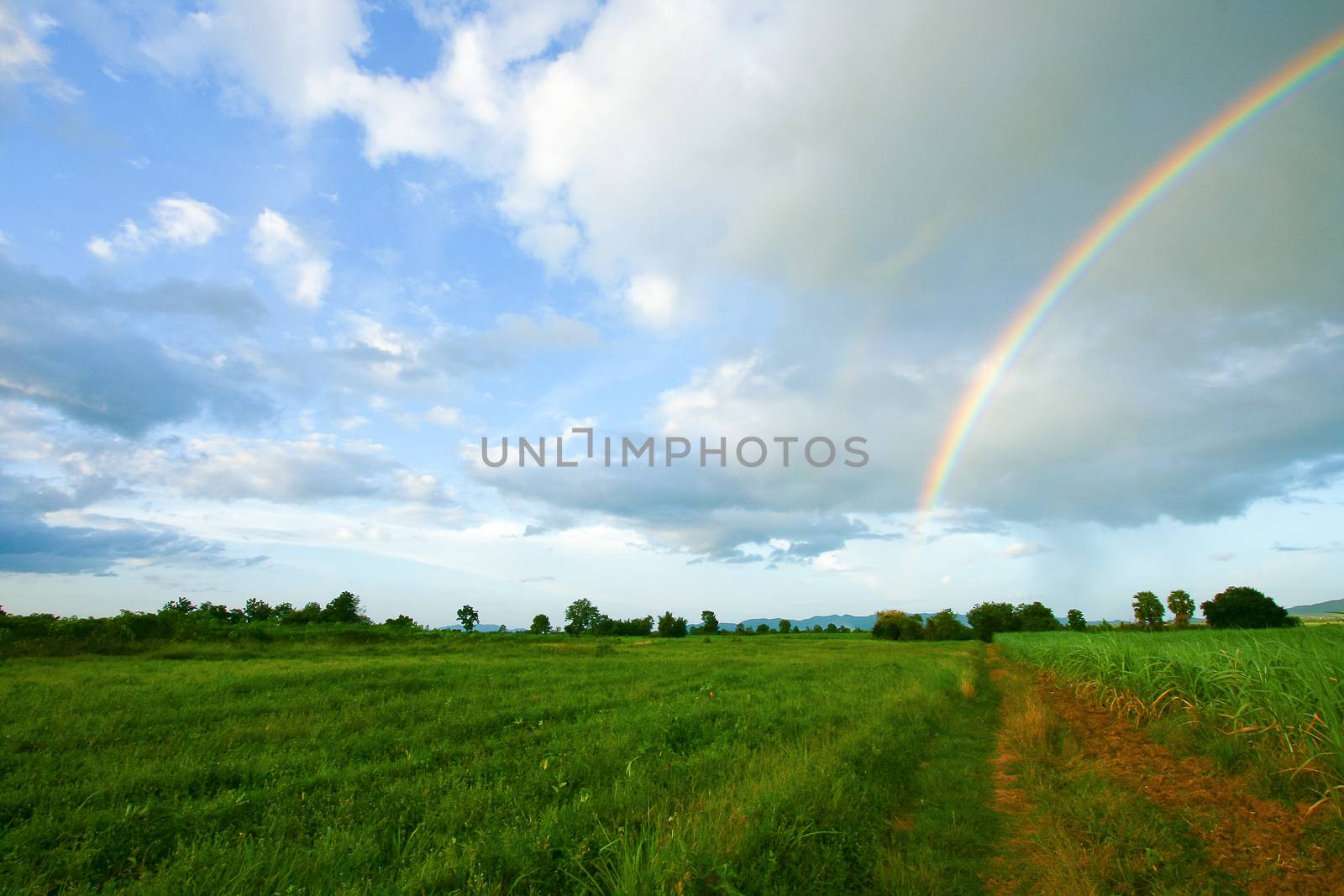 The perfect double rainbow over a beautiful meadow in spring