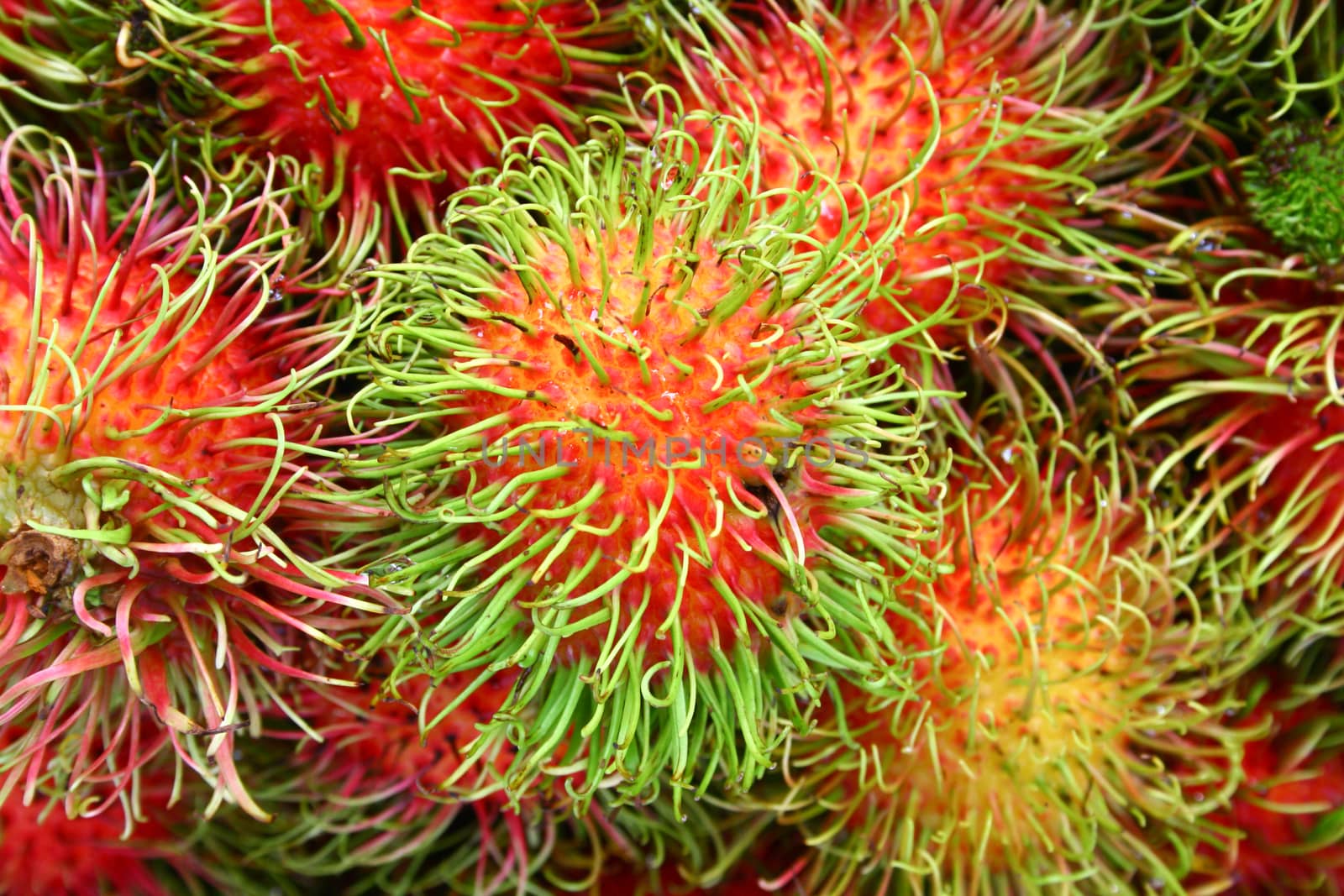 rambutan delicious thai fruit