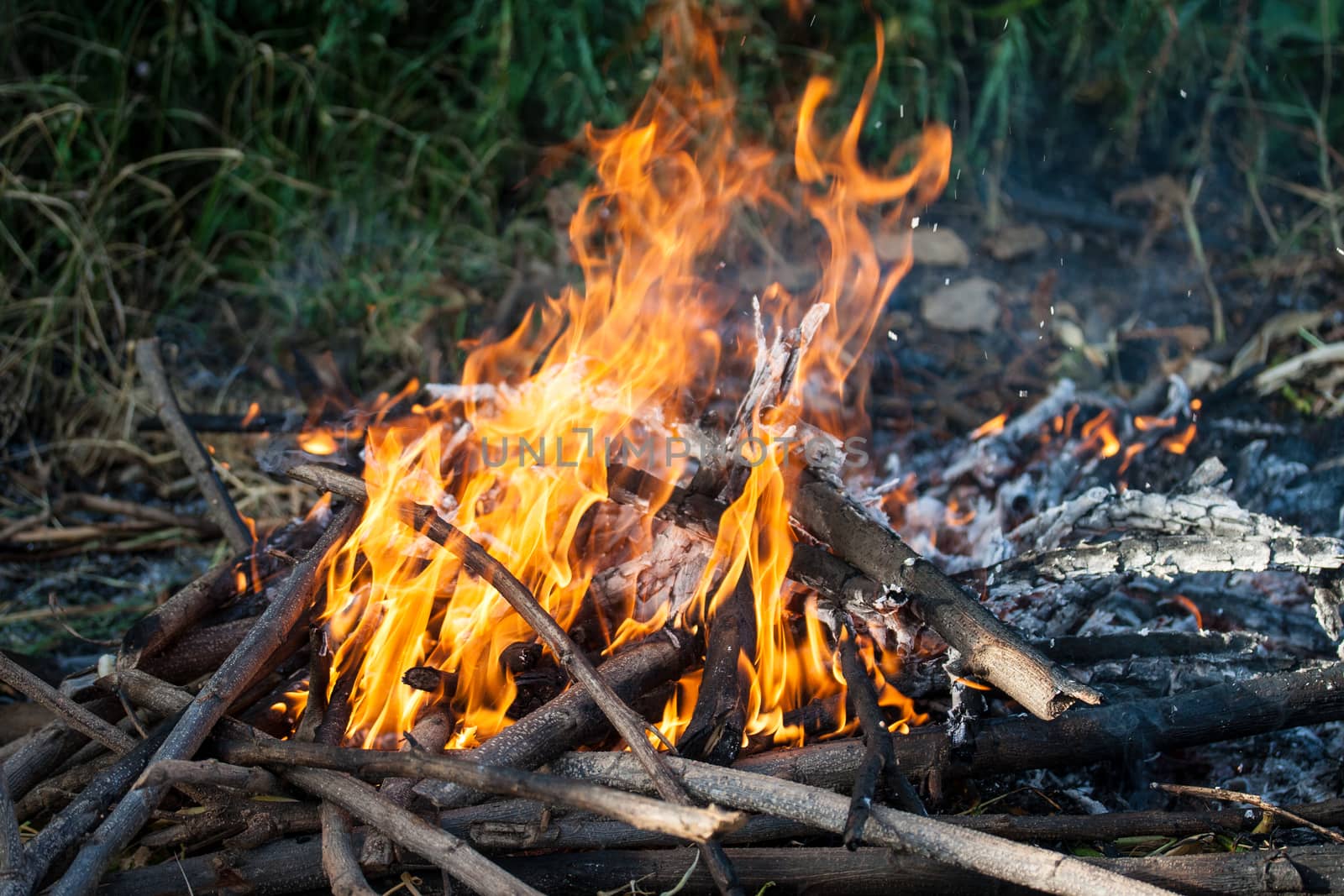 firewood and flame. Closeup.